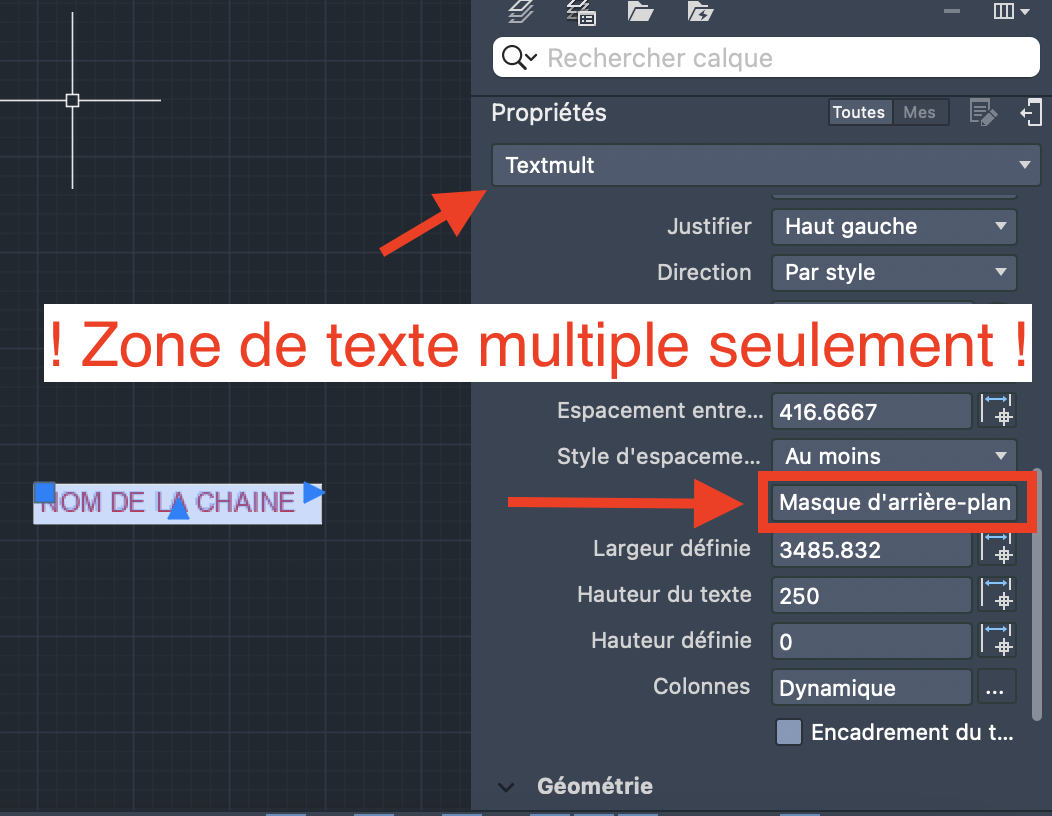 Créer une zone de texte multiple et aller dans propriétés, Masque d'arrière plan